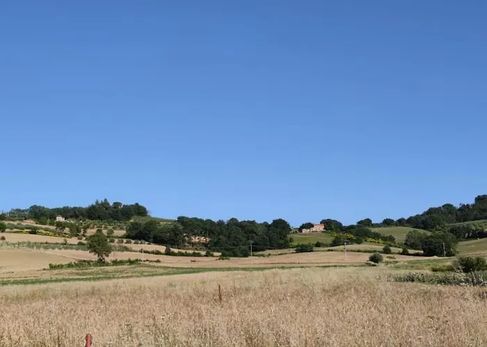 Maranzano 90